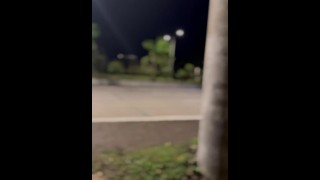 Horny Walk Home Turns into Wild Roadside Jerk Off