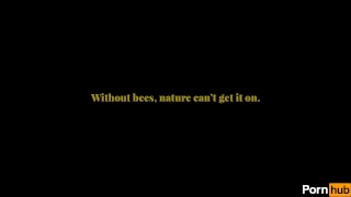 Bees Gangbang Multi-Dicked Flower in Public Orgy