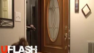 Big Tits Amateur Bondage Pizza Delivery Flashing